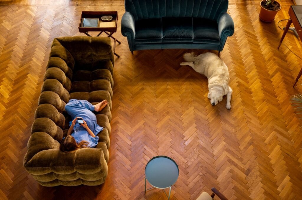 Aufsicht auf ein Wohnzimmer mit Fischgrätparkett auf dem ein Hund schläft. Eine Frau liegt auf einem der zwei Sofas und liest etwas auf ihrem Handy. Foto: RossHelen/www.elements.envato.com