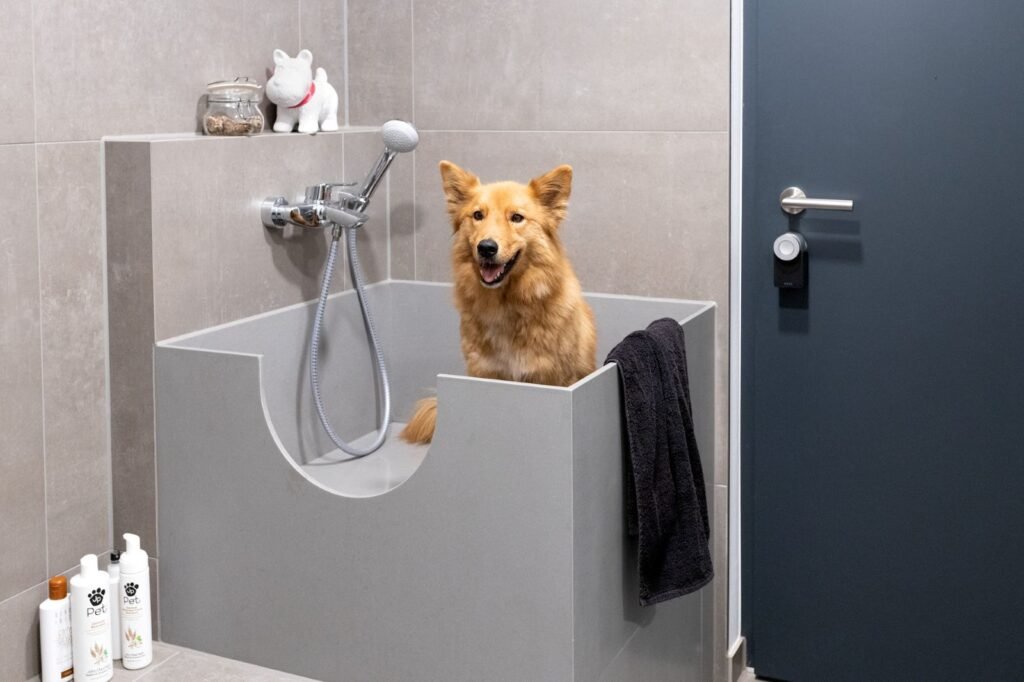 Schwoerer Schoelermann Hundedusche